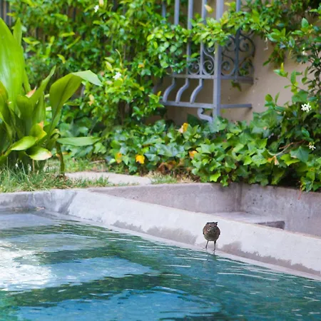 Fabrica Descals And Pavillion *